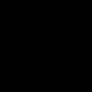 Meet your Posher, Elliana